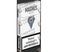 Magnus SS Silver